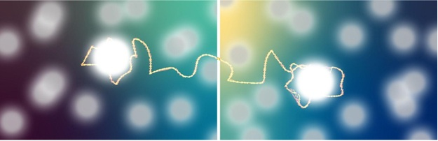 two entangled particles